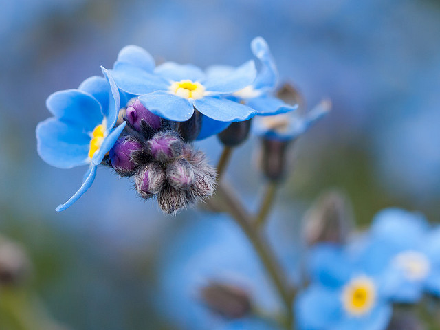 You are currently viewing 12 Qualities to Look for in a Funeral Celebrant