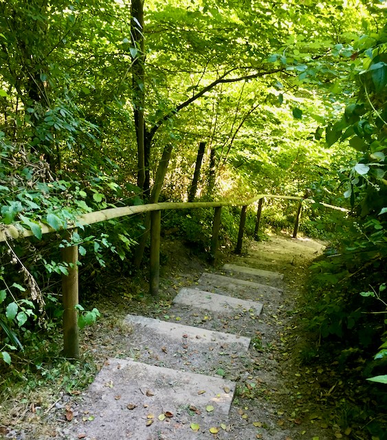 Woodland path going down - bereavement can lead you down